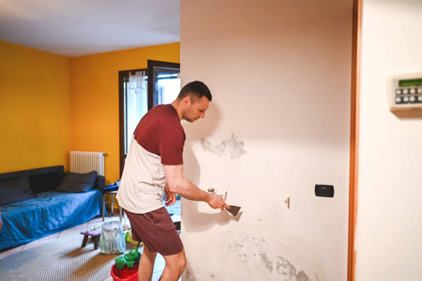 Best Mold Damage Repair  in Albert Lea, MN
